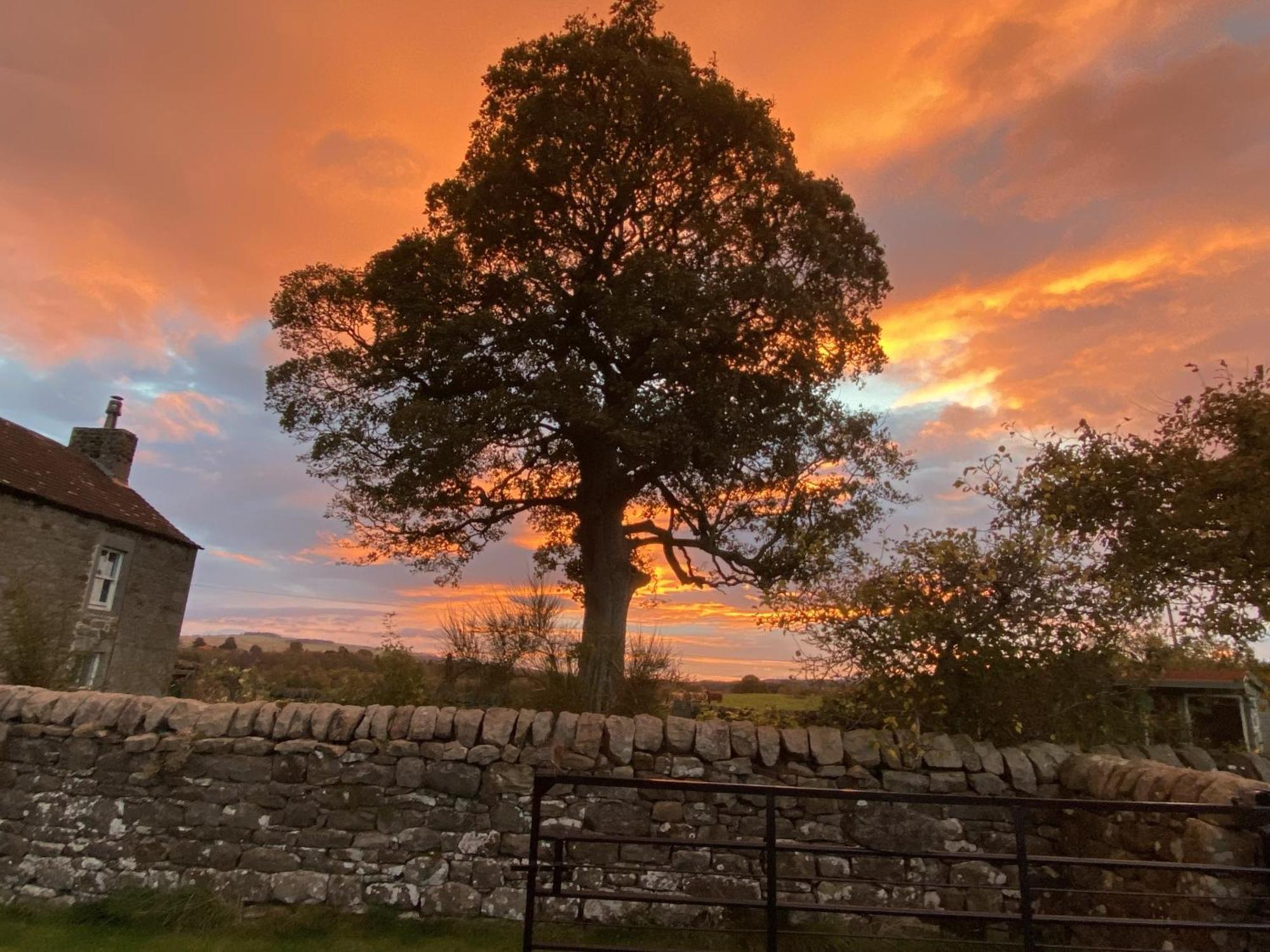 Wydon Farm Bed And Breakfast ハルトホイッスル エクステリア 写真